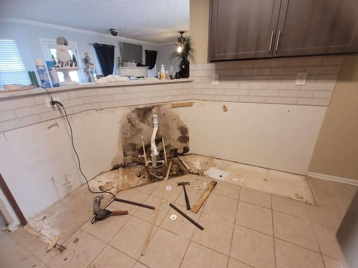 Mold behind wall with plumbing during Flood Damage Cleanup in Poway